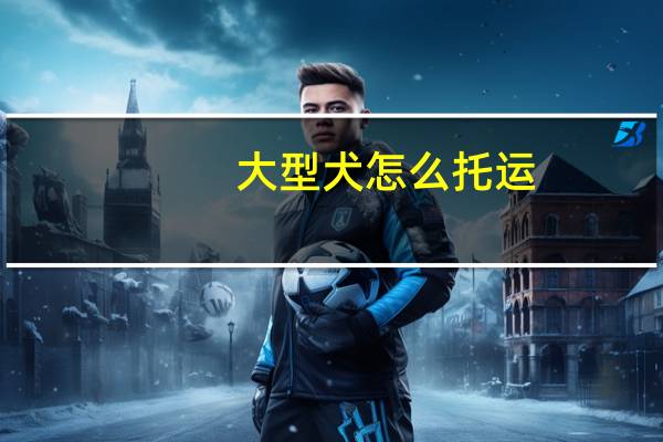 大型犬怎么托运