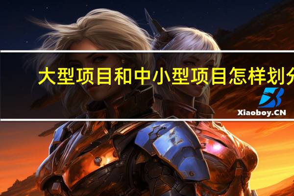 大型项目和中小型项目怎样划分