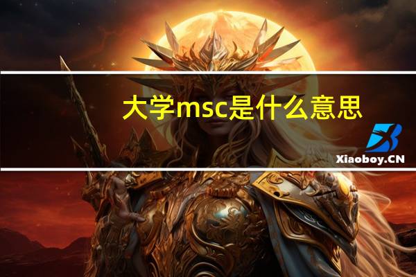 大学msc是什么意思