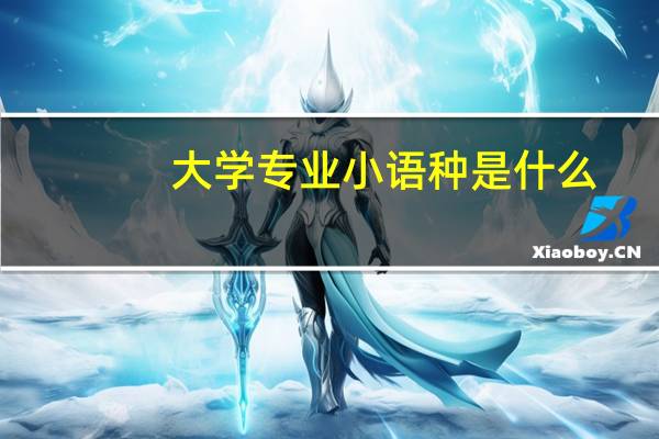 大学专业小语种是什么