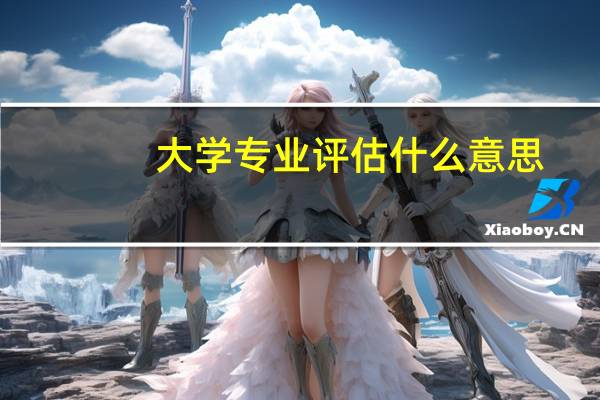 大学专业评估什么意思