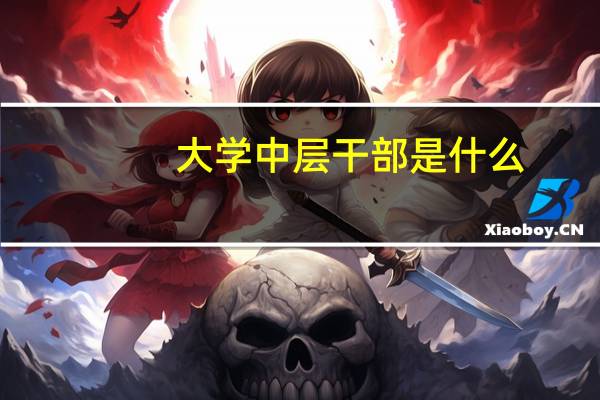 大学中层干部是什么