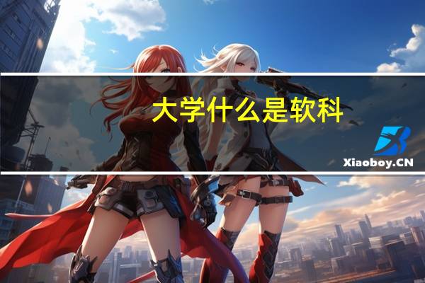 大学什么是软科