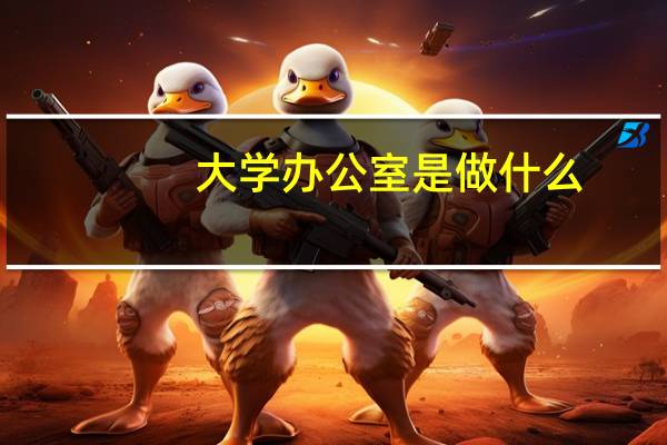 大学办公室是做什么