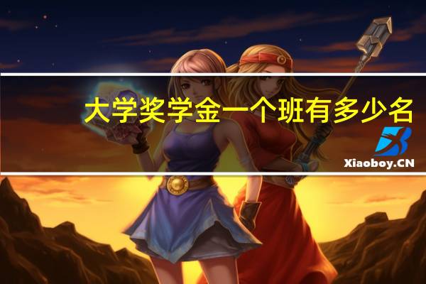 大学奖学金一个班有多少名