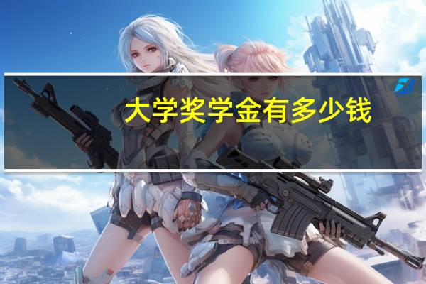 大学奖学金有多少钱
