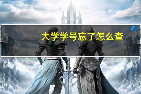 大学学号忘了怎么查
