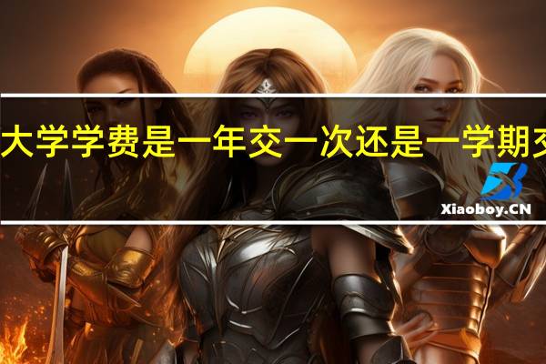 大学学费是一年交一次还是一学期交一次