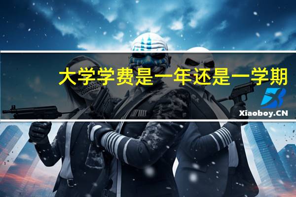 大学学费是一年还是一学期