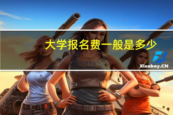 大学报名费一般是多少