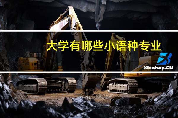 大学有哪些小语种专业