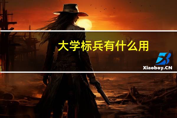 大学标兵有什么用
