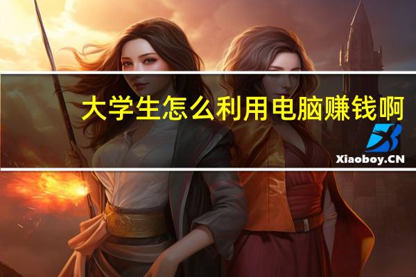 大学生怎么利用电脑赚钱啊