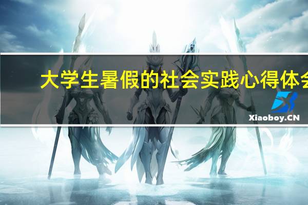 大学生暑假的社会实践心得体会