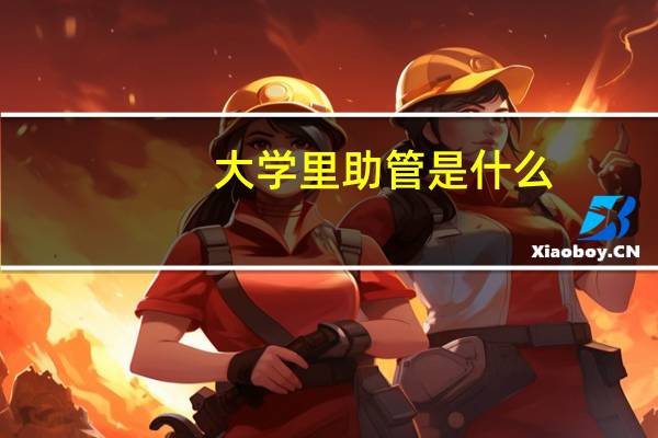 大学里助管是什么