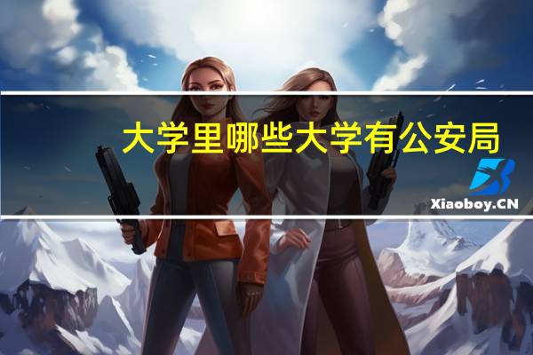 大学里哪些大学有公安局
