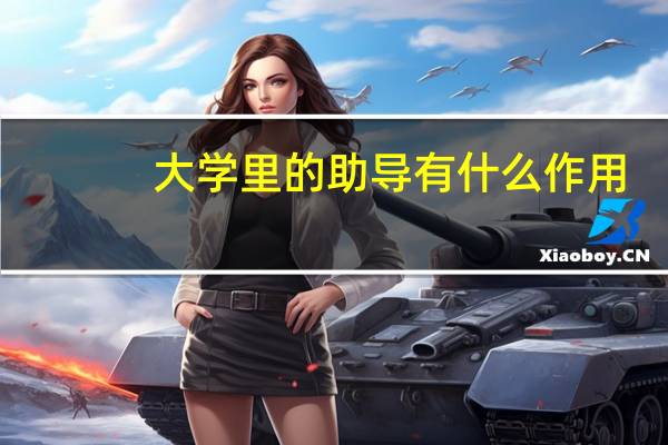 大学里的助导有什么作用