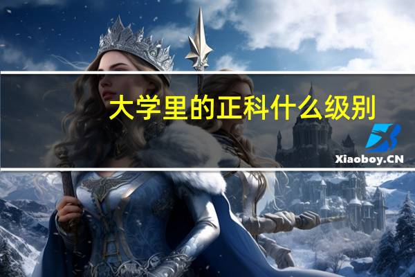 大学里的正科什么级别