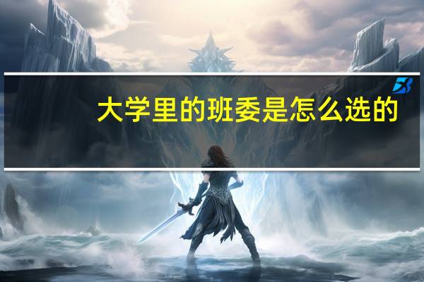 大学里的班委是怎么选的