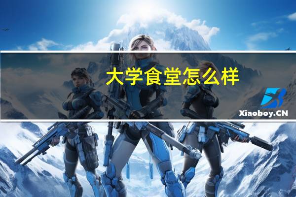 大学食堂怎么样