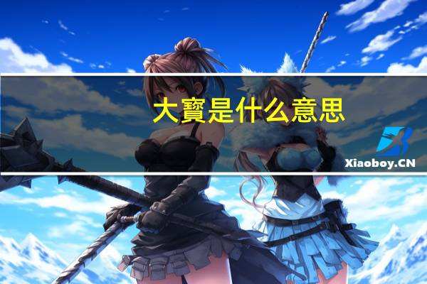 大寳是什么意思
