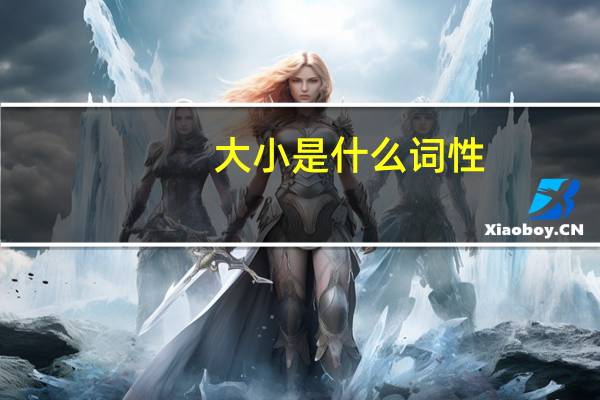 大小是什么词性