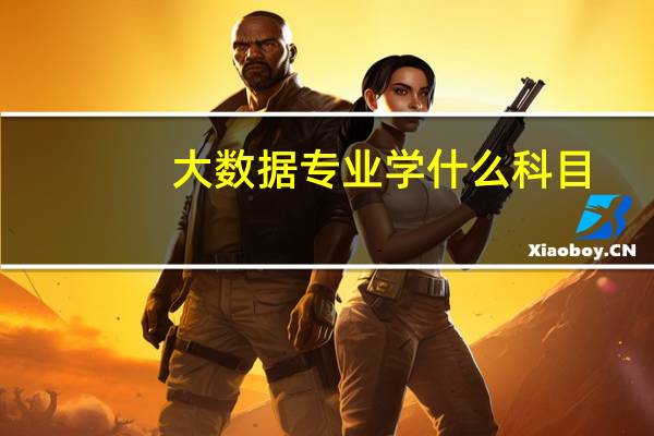 大数据专业学什么科目