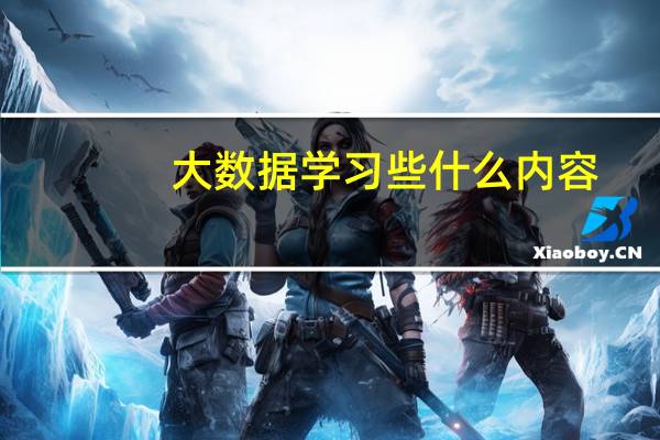 大数据学习些什么内容