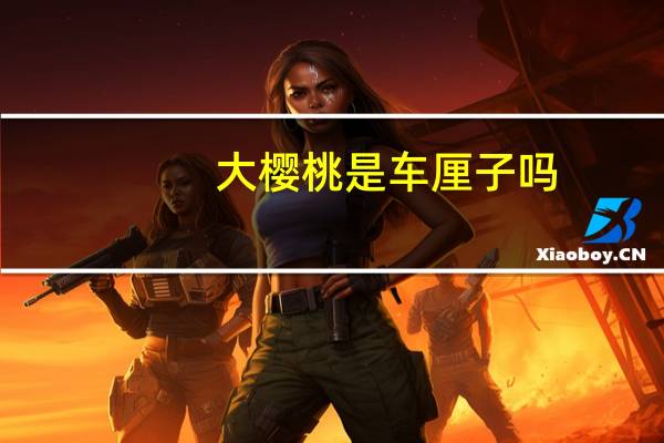 大樱桃是车厘子吗