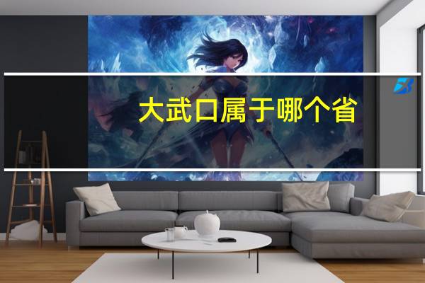 大武口属于哪个省