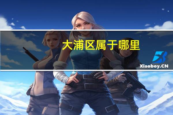 大浦区属于哪里