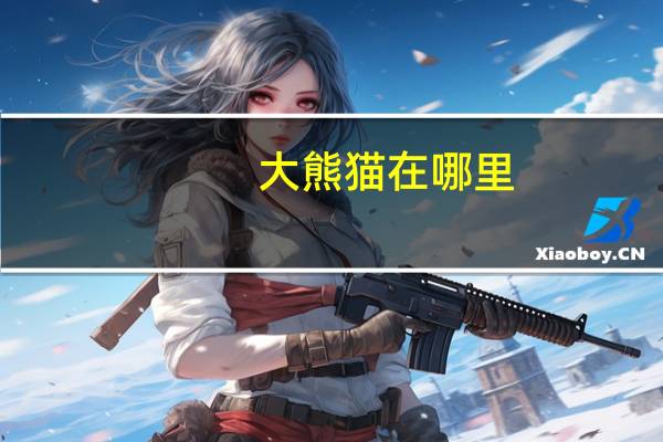 大熊猫在哪里