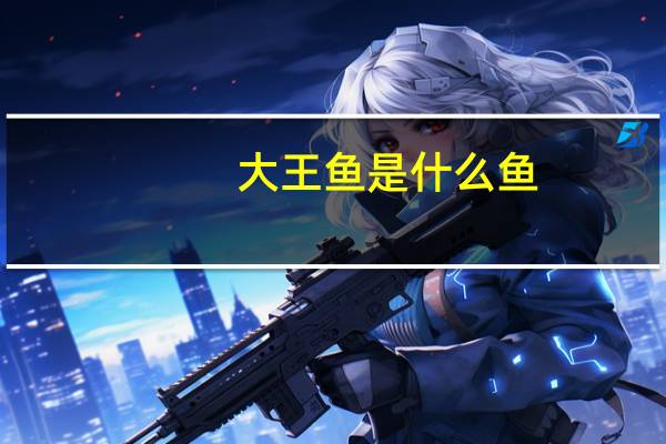 大王鱼是什么鱼