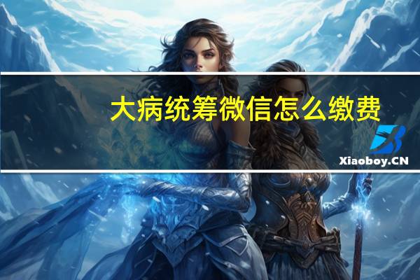 大病统筹微信怎么缴费