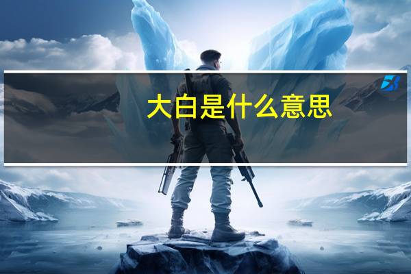 大白是什么意思