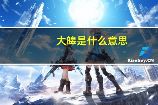 大皞是什么意思