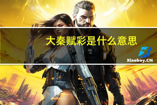 大秦赋彩是什么意思