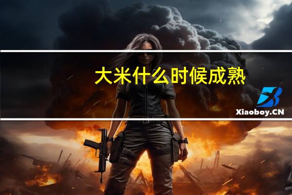大米什么时候成熟