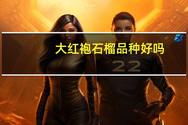 大红袍石榴品种好吗