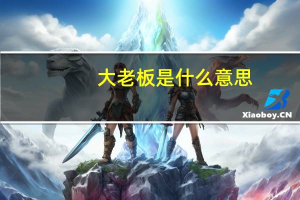 大老板是什么意思