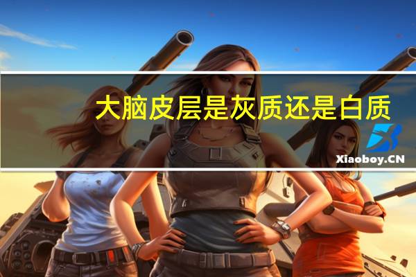 大脑皮层是灰质还是白质