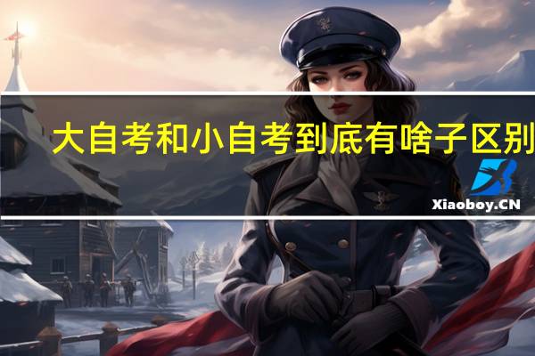 大自考和小自考 到底有啥子区别嘛