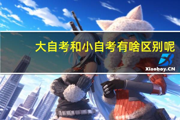 大自考和小自考有啥区别呢