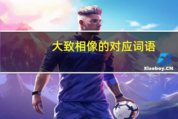 大致相像的对应词语