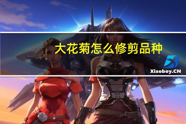 大花菊怎么修剪品种