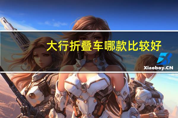 大行折叠车哪款比较好