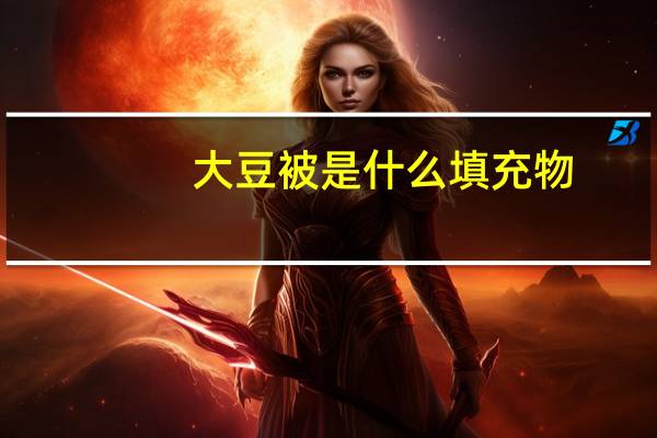 大豆被是什么填充物