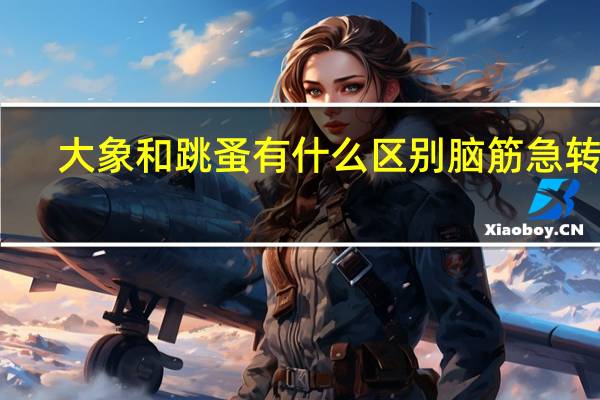大象和跳蚤有什么区别脑筋急转弯