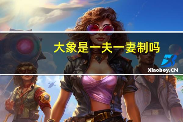 大象是一夫一妻制吗