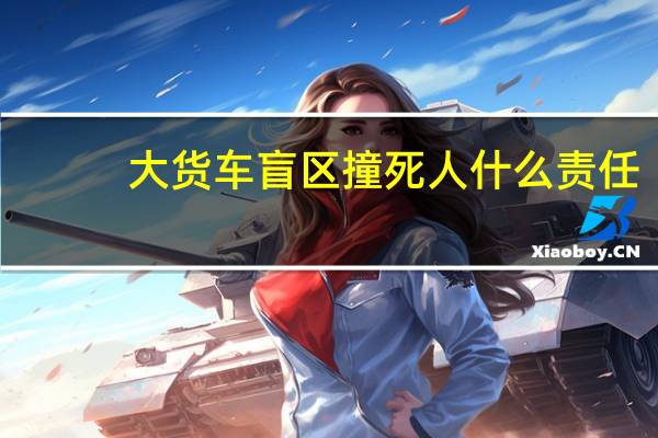 大货车盲区撞死人什么责任